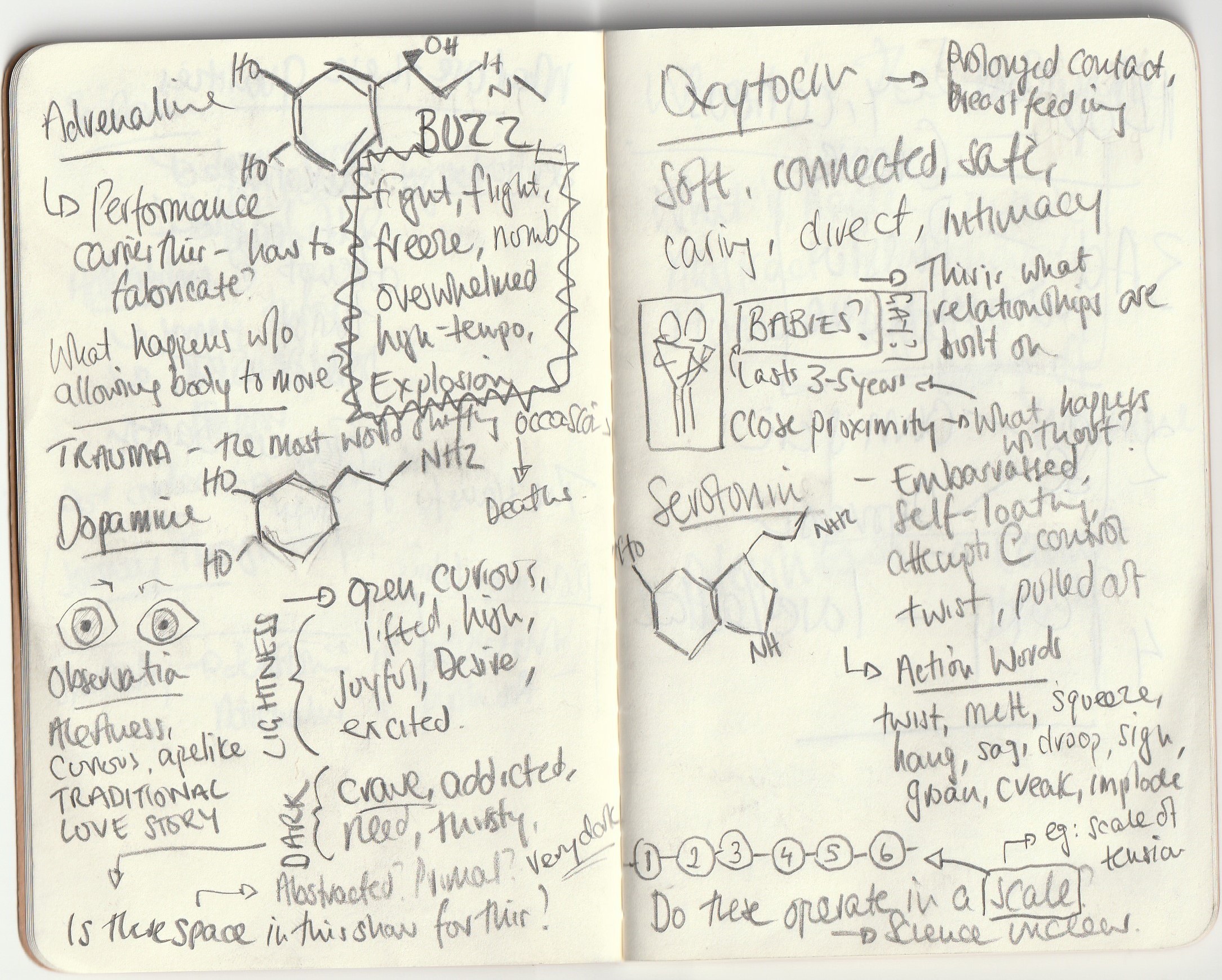 IMG_20191007_0011 (2)