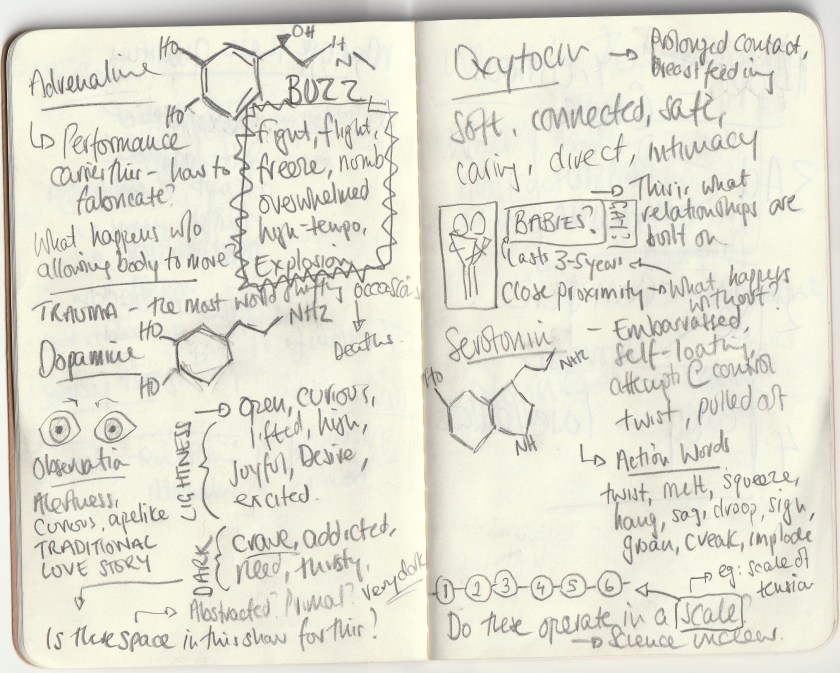 IMG_20191007_0011 (2)