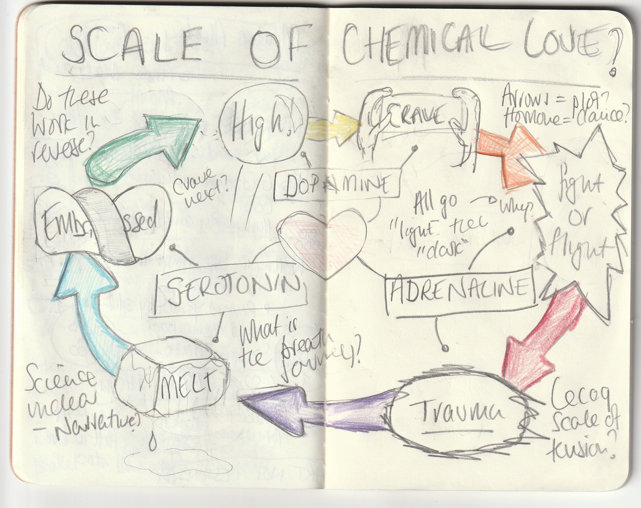 IMG_20191007_0013 (2)