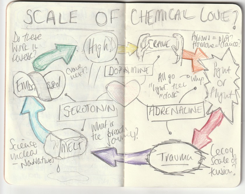 IMG_20191007_0013 (2)